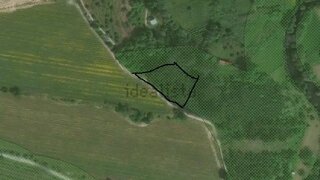 Terreno em Penalva do Castelo