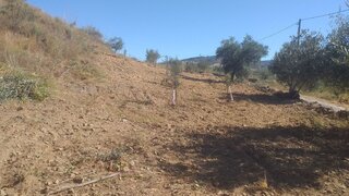 Land for sale in Mirandela, Portugal — €16,600