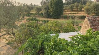 Land for sale in Penalva do Castelo, Portugal — €350,000