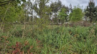 Terreno de 3454 m² em Viana do Castelo