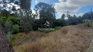 Land for sale in Mortágua, Portugal — €41,500