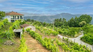 Land for sale in Ribeira de Pena, Portugal — €45,000