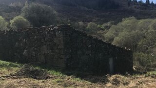 Terreno em Celorico da Beira