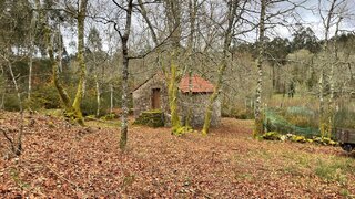Land for sale in Vouzela, Portugal — €270,000