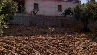 Land for sale in Vila Flor, Portugal — €195,000