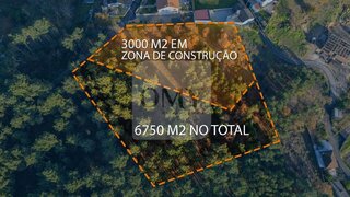 Terreno de 6750 m² em Vila Real