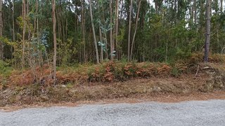 Terreno em Oliveira de Frades