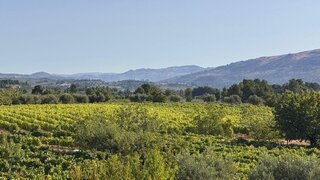 Terreno para venda em Moimenta da Beira, Portugal — 140 000 €