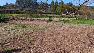 Land for sale in Oliveira de Frades, Portugal — €6,500