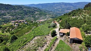 Land for sale in Resende, Portugal — €110,000