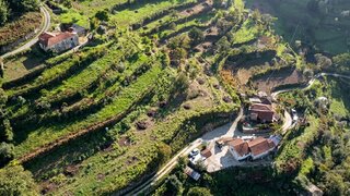 Terreno para venda em Cinfães, Portugal — 49 000 €