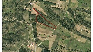 Terreno em Trancoso