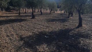 Land for sale in Mogadouro, Portugal — €125,000