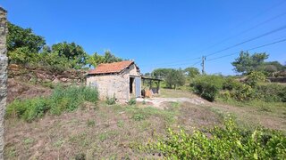 Terreno para venda em Nelas, Portugal — 50 000 €