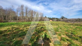 Terreno de 6145 m² em Viseu