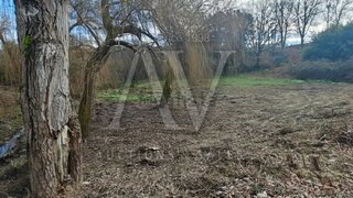 Land for sale in Santa Comba Dão, Portugal — €26,000