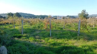 Land for sale in Monção, Portugal — €50,000