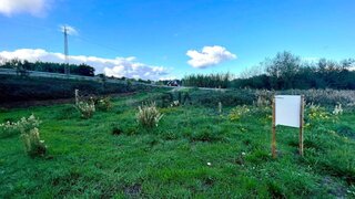 Land for sale in Santa Comba Dão, Portugal — €15,000
