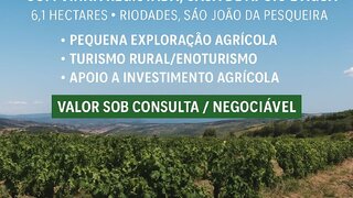 Land for sale in São João da Pesqueira, Portugal — €74,900