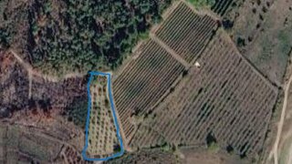 Terreno em Sernancelhe