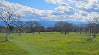 Terreno em Trancoso