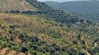 Land for sale in Torre de Moncorvo, Portugal — €11,000