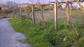 Land for sale in Monção, Portugal — €26,000