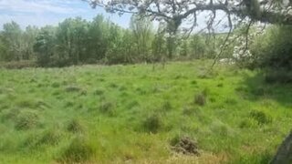 Terreno de 83 876 m² em Guarda