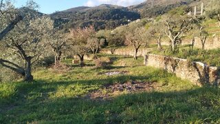 Land for sale in Tabuaço, Portugal — €35,000