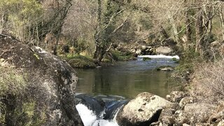 Terreno de 100 000 m² em Viseu