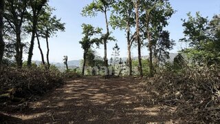 Land for sale in Ponte da Barca, Portugal — €27,500