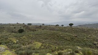 Land for sale in Gouveia, Portugal — €980,000