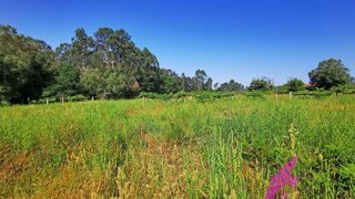 Terreno de 924 m² em Viana do Castelo