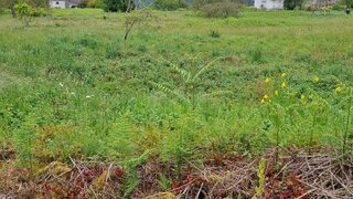 Land for sale in Melgaço, Portugal — €800,000