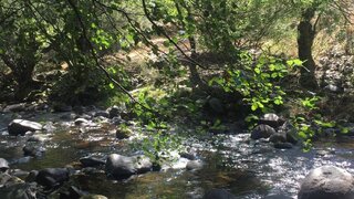 Land for sale in Manteigas, Portugal — €36,000