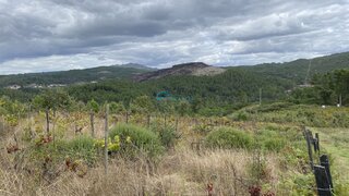 Land for sale in Sabrosa, Portugal — €28,000