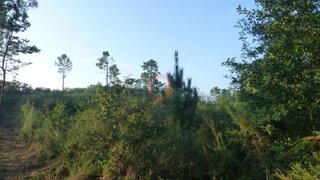 Terreno · 10 900 m² · 55 000 €