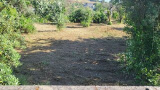 Terreno de 1400 m² em Viseu