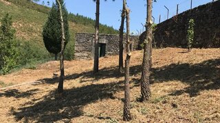 Terreno em Montalegre · 2443 m² · 100 000 €
