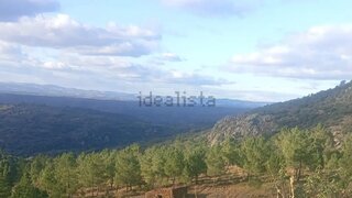 Terreno em Pinhel