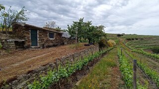 Land for sale in Alijó, Portugal — €650,000