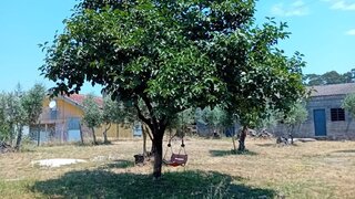 Land for sale in Nelas, Portugal — €52,000