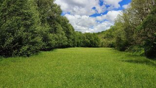 Terreno de 100 000 m² em Bragança