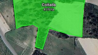 Land for sale in Pinhel, Portugal — €30,000