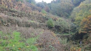 Terreno em Seia