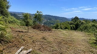 Terreno de 8007 m² em Viseu
