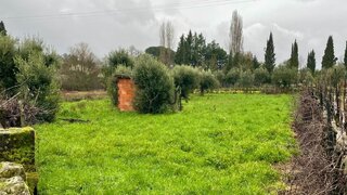 Terreno para venda em Nelas, Portugal — 21 000 €