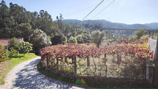 Land for sale in Ponte de Lima, Portugal — €70,000