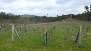Land for sale in Monção, Portugal — €170,000