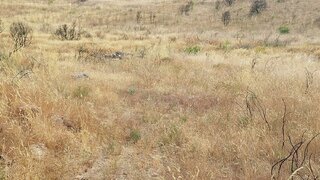 Terreno em Torre de Moncorvo